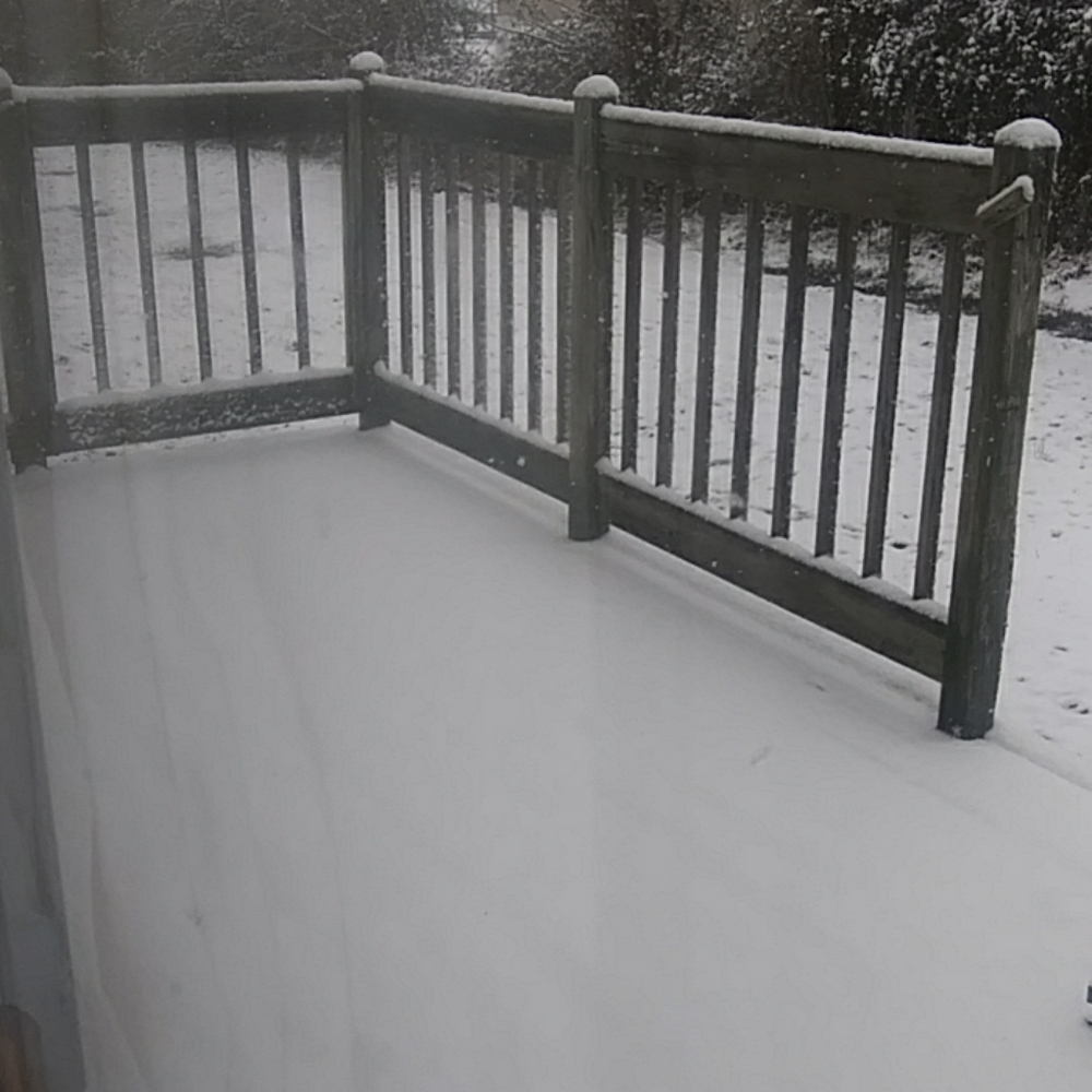 ❄🌬Snow Days Are For 🛍